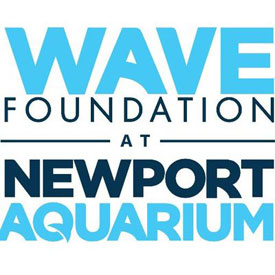Wave Foundation