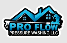 Pro Flow Presssure Washing